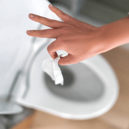 papel higiênico no vaso