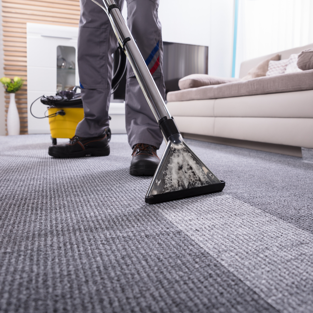 Rugmaster para Limpeza de Carpetes