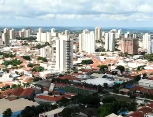 Produtos de limpeza em Araraquara: Como encontrar?