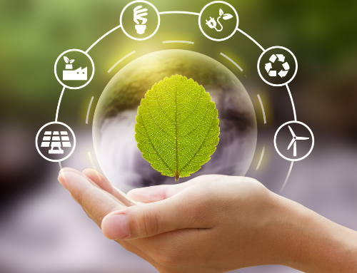 Selo Verde: Por que essa certificação é necessária?