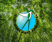 Rotulagem Ambiental