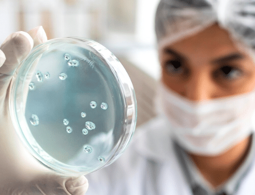 Superbactéria, quais os riscos e como combatê-las?
